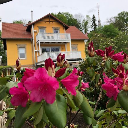 Ferienwohnung Casa Casimir Mit Elbblick, Balkon Und Grossen Garten Дрезден Екстериор снимка