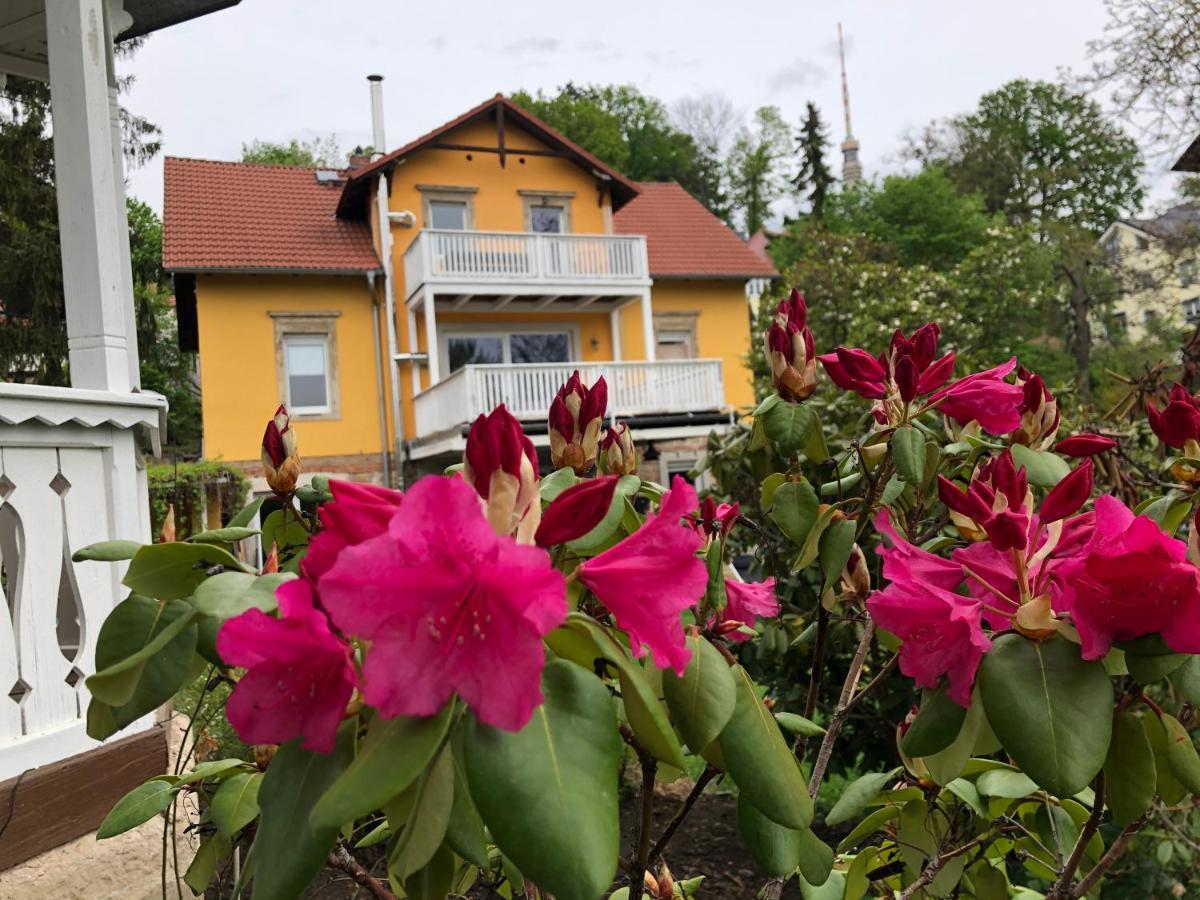 Ferienwohnung Casa Casimir Mit Elbblick, Balkon Und Grossen Garten Дрезден Екстериор снимка